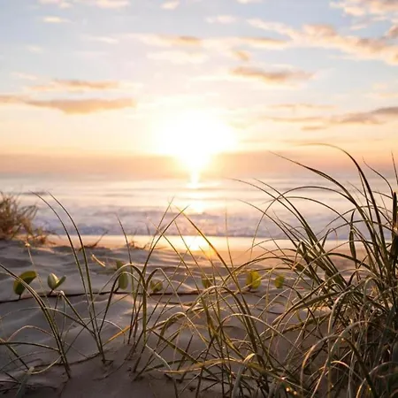 Wellness & Comfort Retreat