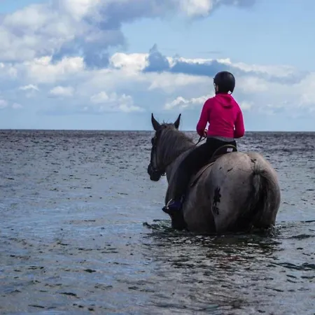 Wellness & Comfort Retreat